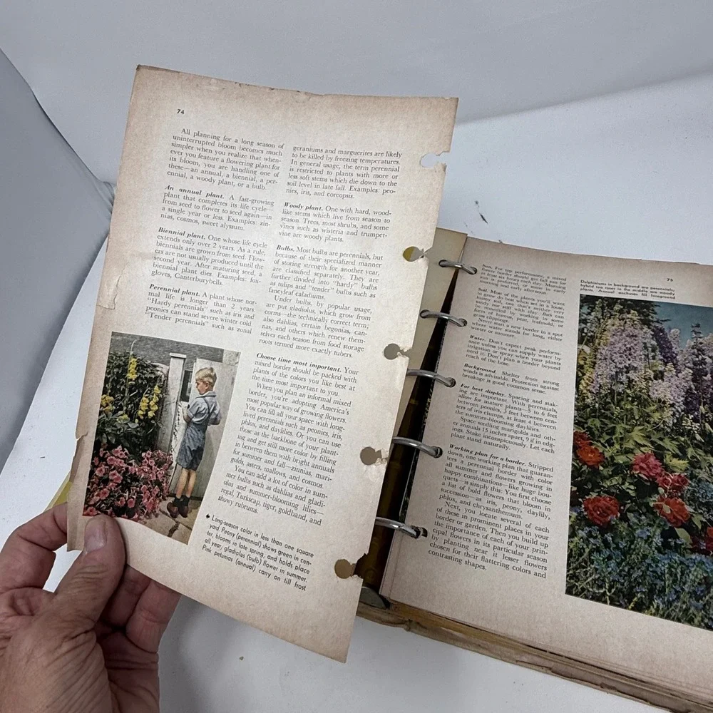 Vintage Better Homes and‎ Gardens Garden Book 1961 Gardening Landscaping
